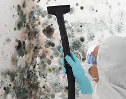 Mold Documentation for Insurance Claims in Lake Morton Berrydale, WA